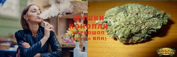 каннабис Каменногорск