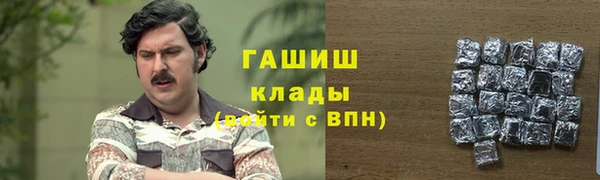 mdpv Каменка