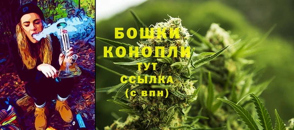 каннабис Каменногорск