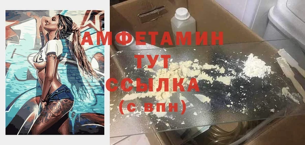 mdpv Каменка