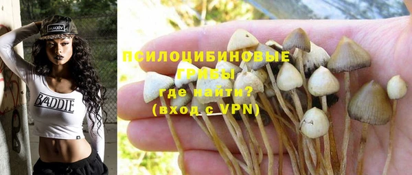 mdpv Каменка