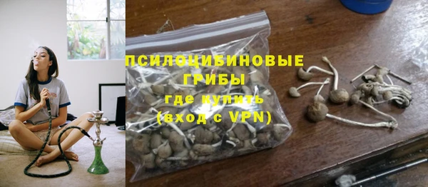mdpv Каменка